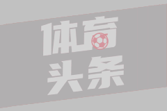珀斯野猫